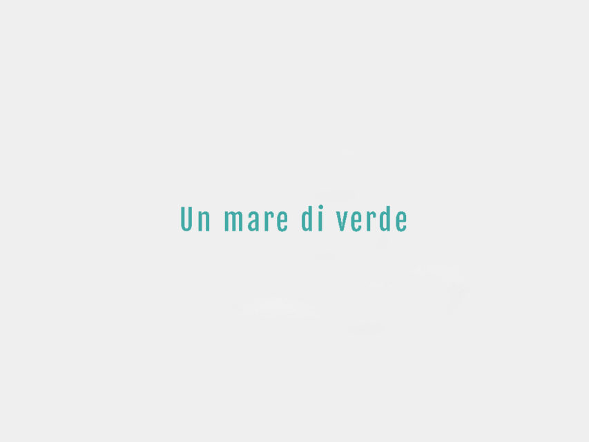 Un mare di verde